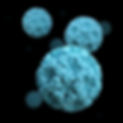Image by CDC